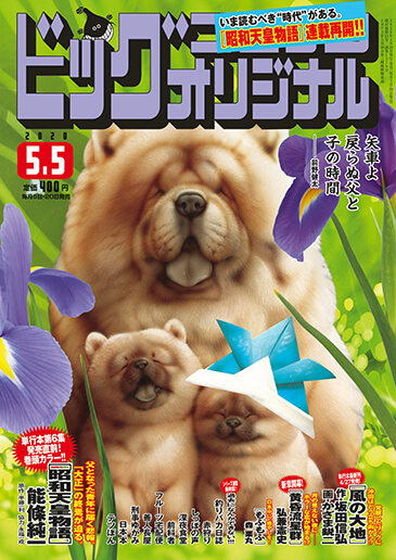 ビッグオリジナル 第9号