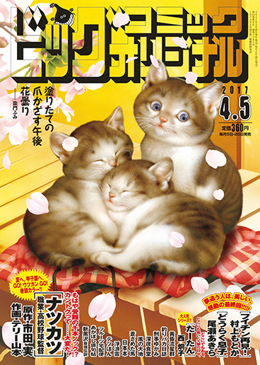 ビッグオリジナル 7号