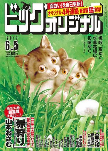 ビッグオリジナル 第11号