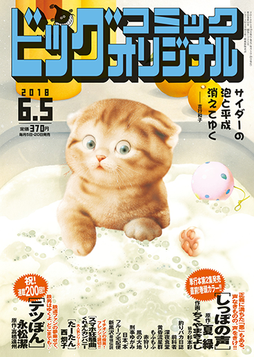 ビッグオリジナル 第11号