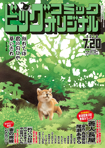 ビッグオリジナル 第14号