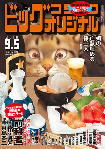 ビッグオリジナル 第17号