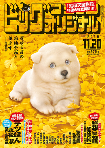 ビッグオリジナル 第22号