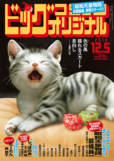 ビッグオリジナル 第23号