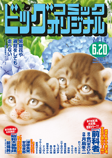 ビッグオリジナル 第12号