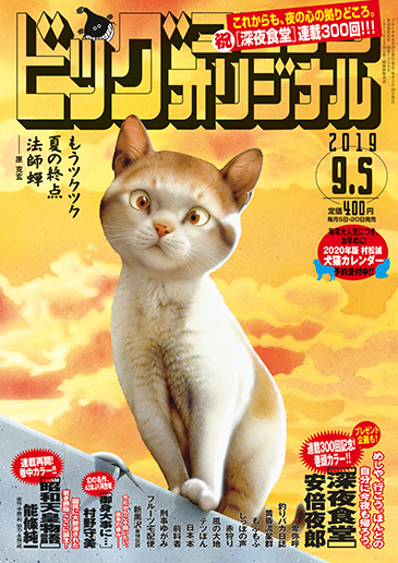 ビッグオリジナル 第17号