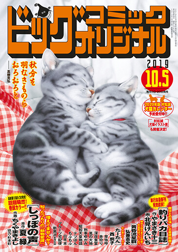 ビッグオリジナル 第19号