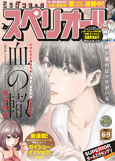 ビッグスペリオール 第12号