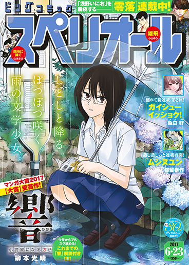 ビッグスペリオール 第13号