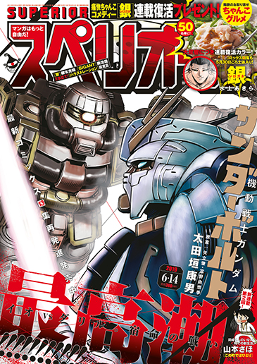 ビッグスペリオール 第12号