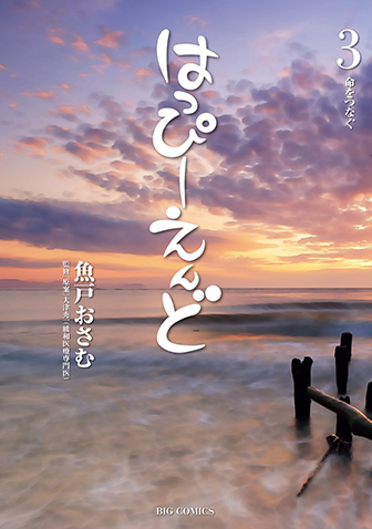 はっぴーえんど　第3集