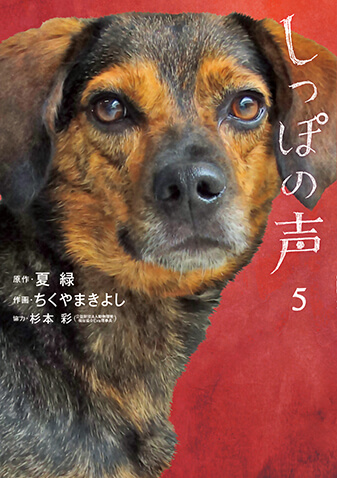 しっぽの声　第5集