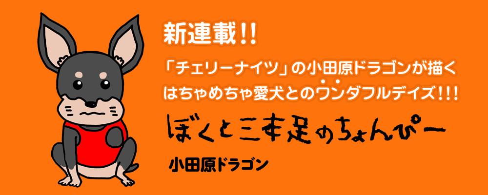 ぼくと三本足のちょんぴー