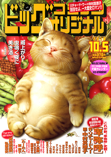 ビッグオリジナル 第19号