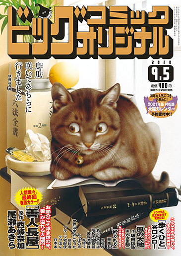 ビッグオリジナル 第17号