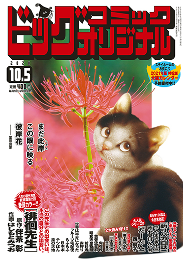 ビッグオリジナル 第19号