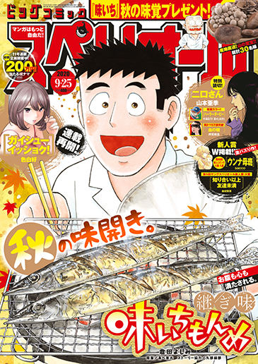 ビッグスペリオール 第19号