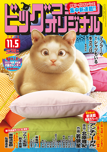 ビッグオリジナル 第21号