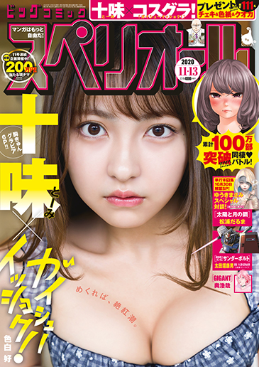 ビッグスペリオール 第22号