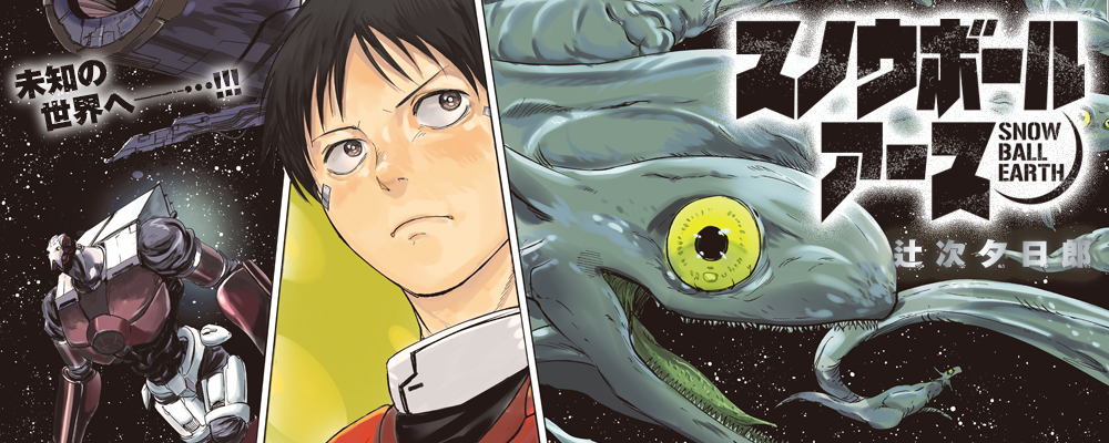 スノウボールアース