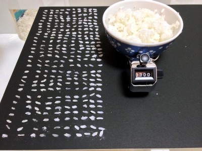 6画像　米粒300個_s