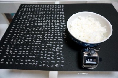 7画像　米粒５００個_s