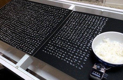 9画像　米粒１５００個_s