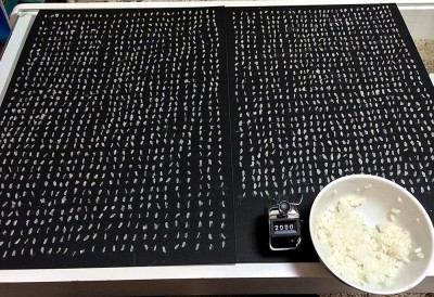 10画像　米粒２０００個_s